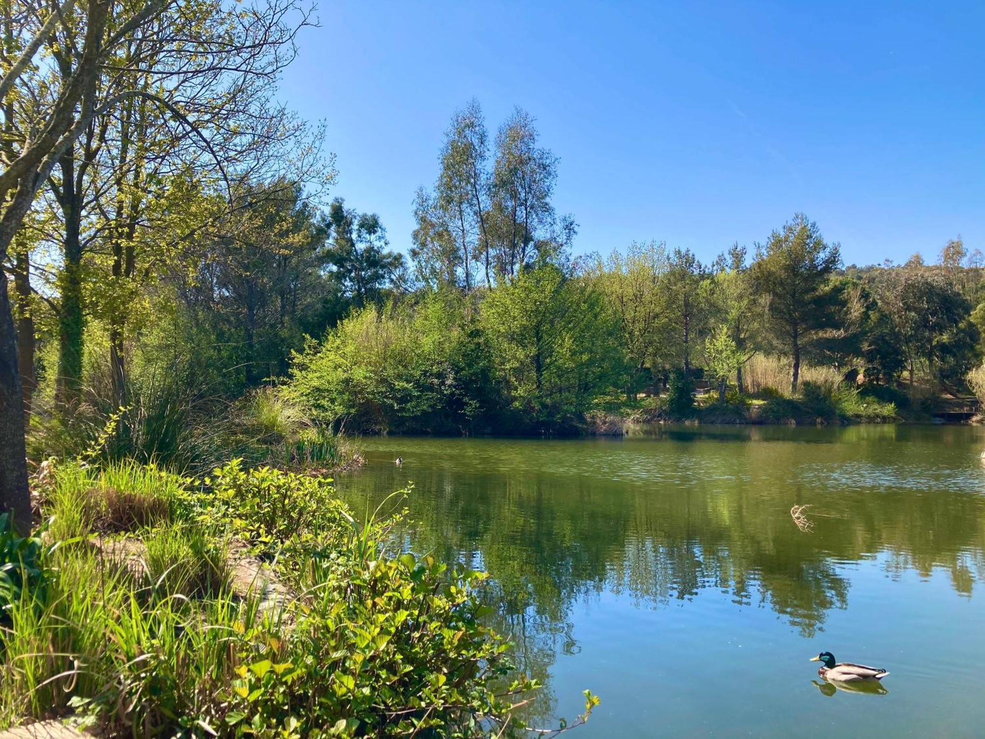 Les Restanques Vue Mer Pressoir 3131 Grimaud Εξωτερικό φωτογραφία