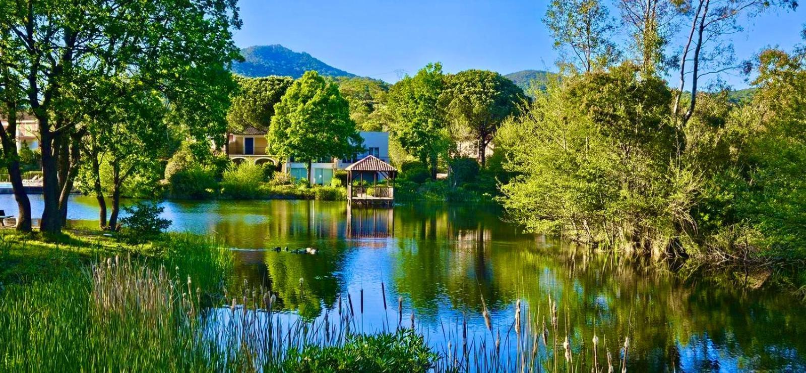 Les Restanques Vue Mer Pressoir 3131 Grimaud Εξωτερικό φωτογραφία